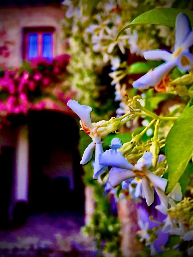 Podere Di Belforte Bagno a Ripoli Extérieur photo