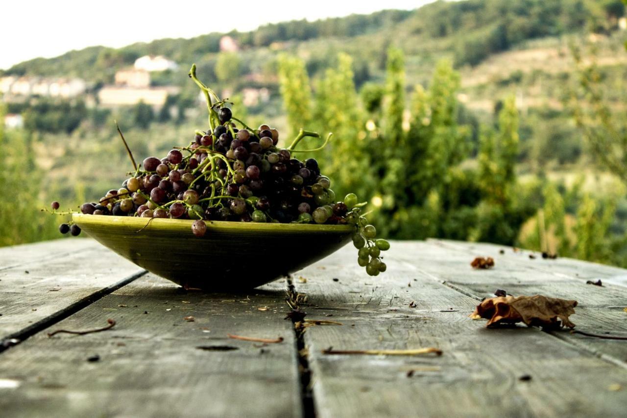 Podere Di Belforte Bagno a Ripoli Extérieur photo